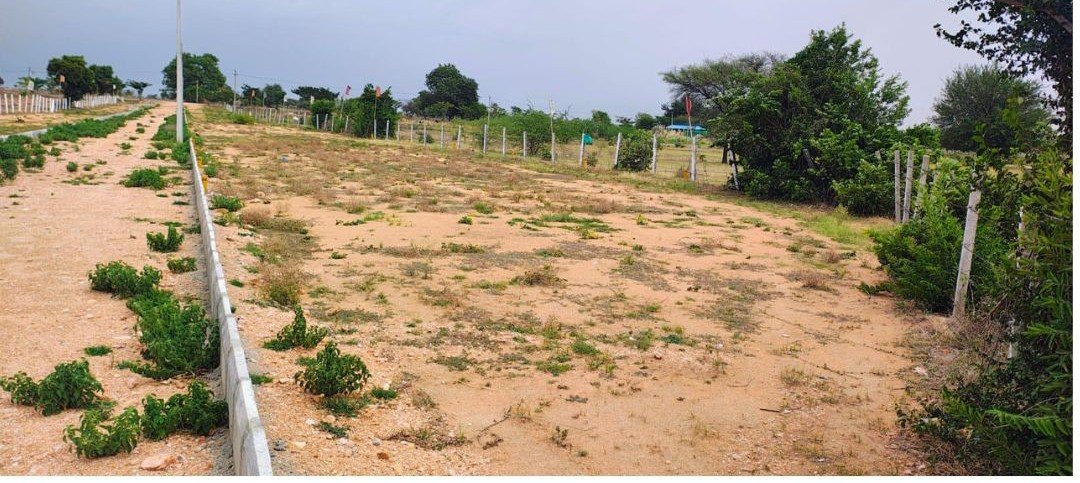 Plot For Sale at Shadnagar image 2