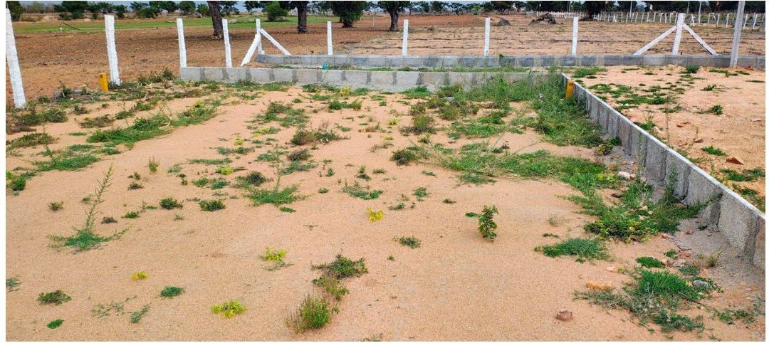 Plot For Sale at Shadnagar image 3