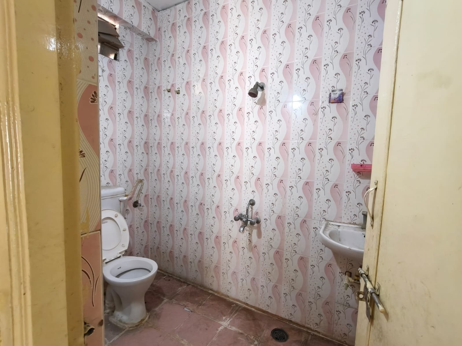 2BHK Flat For Rent In Shaikpet image 3