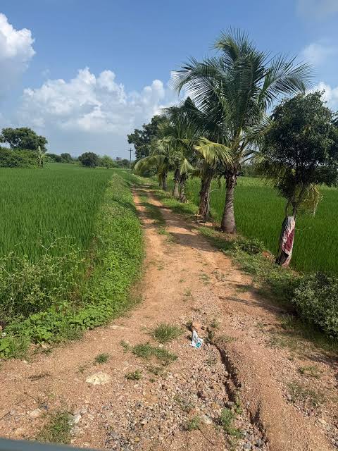 Agriculture land for sale